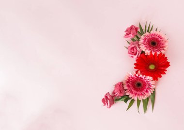 Pembe ve kırmızı papatya, pembe gül ve yeşil yapraklı pembe arka planda aşk konsepti. Çiçek kopyalama alanı, en düşük düzlük.