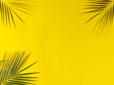 Tropik palmiye yaprağı ve sarı kağıdın üzerindeki gölge. Genel Yaz tema kopyalama alanı.