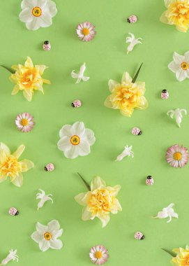 Renkli bahar çiçekleri ve yeşil arka planda pembe uğur böceğiyle yapılmış yaratıcı bir düzen. Asgari doğa düzleştirme kavramı.