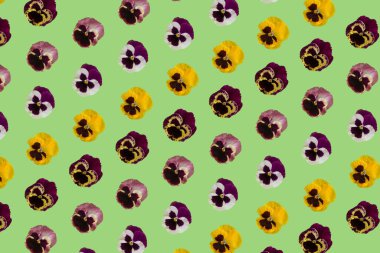 Yeşil arka planda renkli nonoş çiçekli yaratıcı desen. Minimal doğa yay düz yatar konsepti.