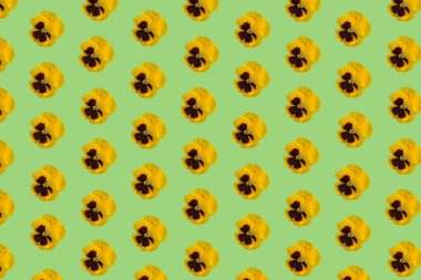 Yeşil arka planda sarı nonoş çiçekli yaratıcı desen. Minimal doğa yay düz yatar konsepti.