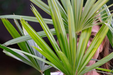Özenli gözlerle bir bitkinin arkasına bakan biri.