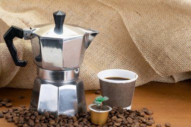 Italian coffee maker next to a recyclable cup and potted plant made with coffee capsule
