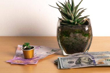 Peso banknotları üzerindeki küçük para, banknotlar üzerindeki büyük para, farklı para birimlerindeki seçimi gösteriyor. .