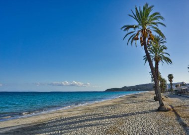 IBIZA, İspanya, 13 Mart 2021, Akdeniz kıyısı manzaralı güzel mavi gökyüzü ve palmiye ağacı