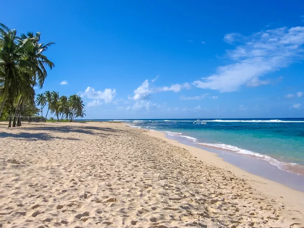 Tropikalnej plaży Caribbean — Zdjęcie stockowe