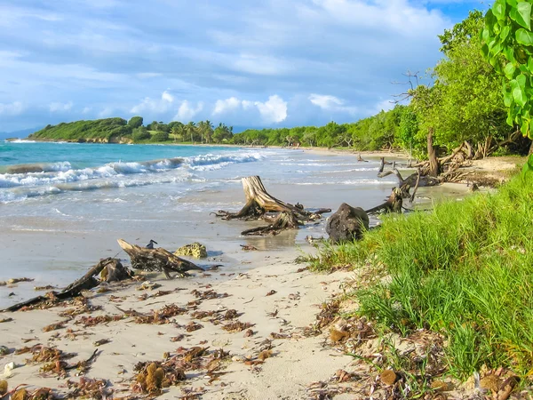 Grande Terre Guadaloupe — Foto Stock