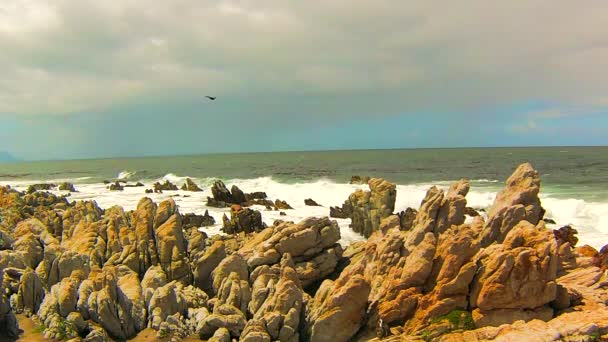 Волны океана на скалах — стоковое видео