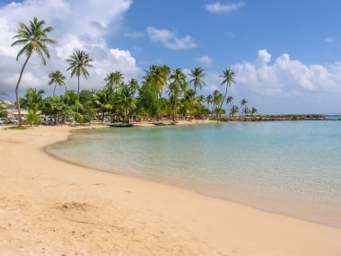 Sainte Anne Guadeloupe