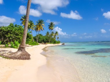 Sainte Anne Guadeloupe
