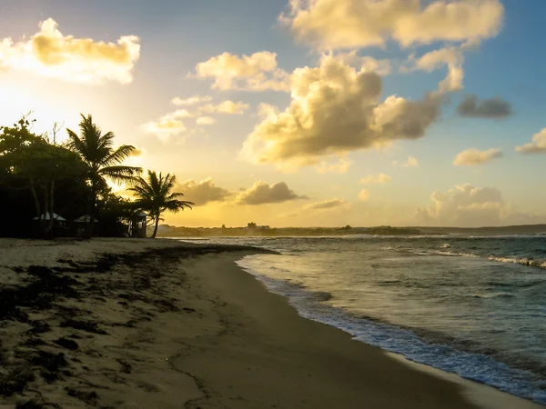 Playa tropical al atardecer — Foto de Stock