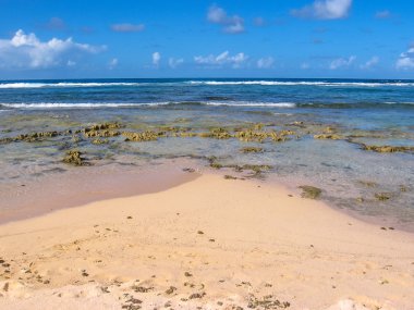 Tropikal plaj Caribbean
