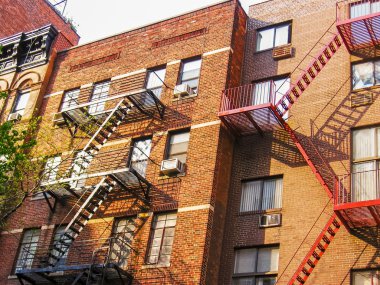 New york daireler