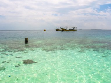 Tropikal denizde resif