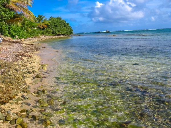 Playa tropical Caribe — Foto de Stock