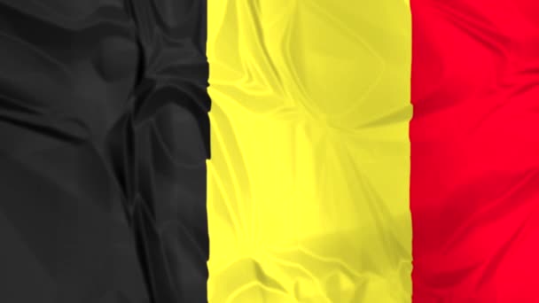 Flagga Belgien vinka — Stockvideo