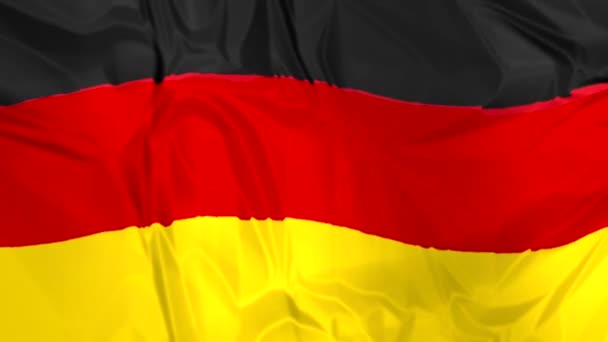 Flag of Germany waving — Stock Video