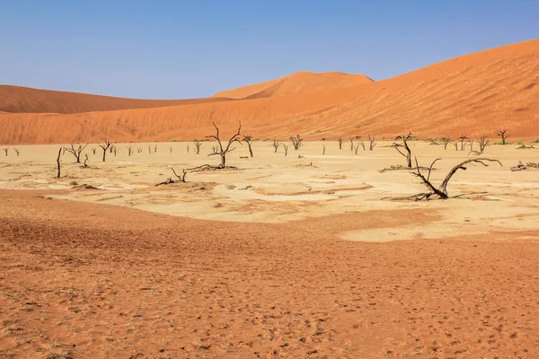 Sossusvlei poušť Namibie — Stock fotografie