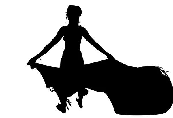 女人与纱笼的剪影 — 图库照片