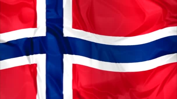 Flagge Norwegens geschwenkt — Stockvideo