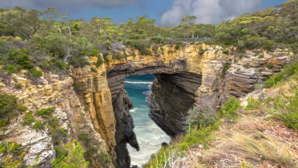 Tasman Arch Tasmanien — Stockvideo