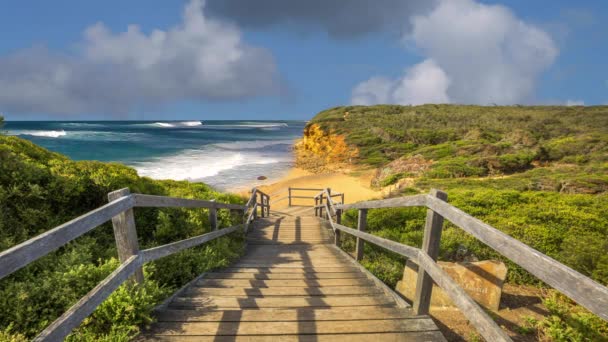 Costa de surf Victoria — Vídeos de Stock