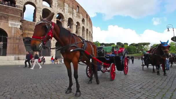 Coliseum at arabası — Stok video