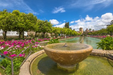 Los Cristianos Cordoba Reyes