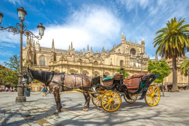 Seville at arabası