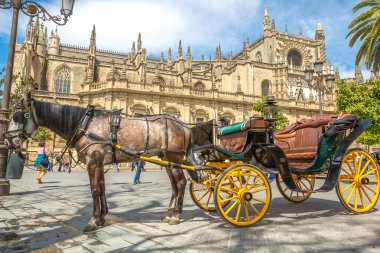 Sevilla Katedrali at arabası