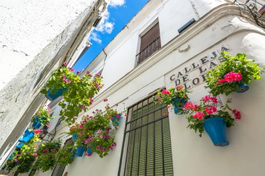 Calleja de las Flores Cordoba