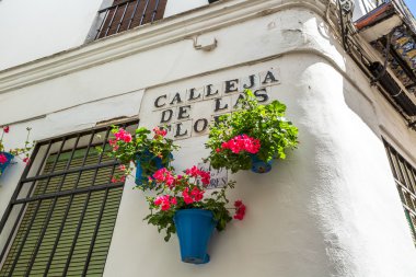 Calleja de las Flores