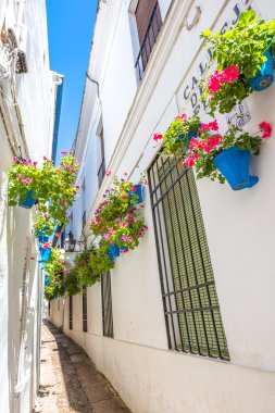 Calleja de las Flores
