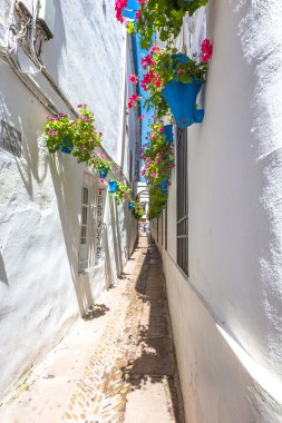 Calleja de las Flores
