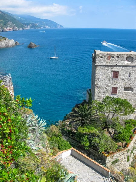 Castello dei Fieschi Monterosso — Photo