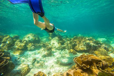 Coral reef dalış
