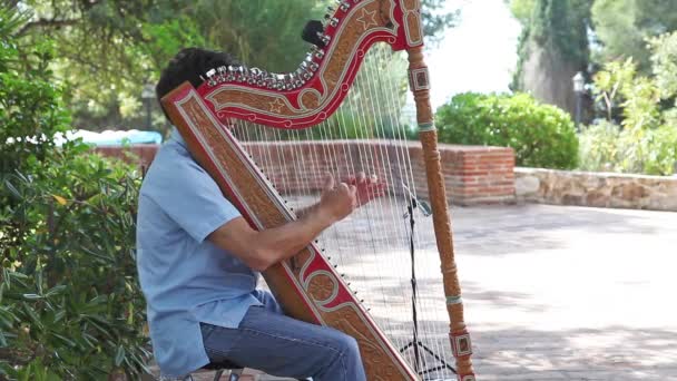 Musician playing harp — Stock Video