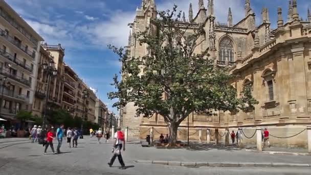 Katedra Sewilli — Wideo stockowe