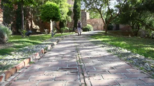 Turismo en Alcazaba de Málaga — Vídeo de stock