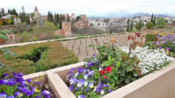 Fortaleza Alhambra flores — Vídeos de Stock