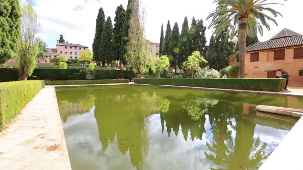 Alhambra von Granada Pool — Stockvideo