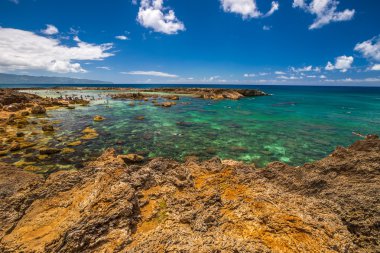 En iyi dalış Oahu