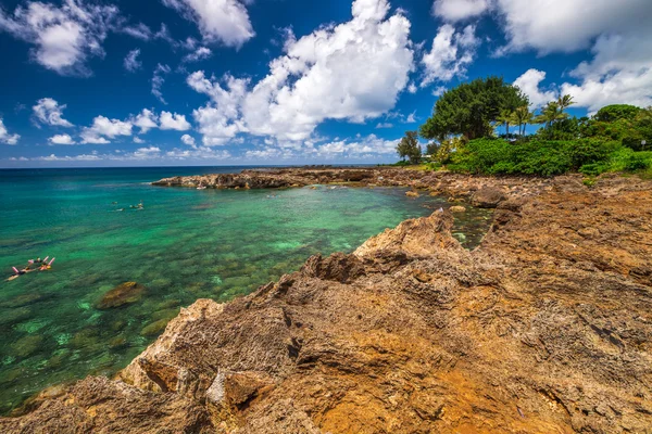 Haaien Cove snorkelen — Stockfoto