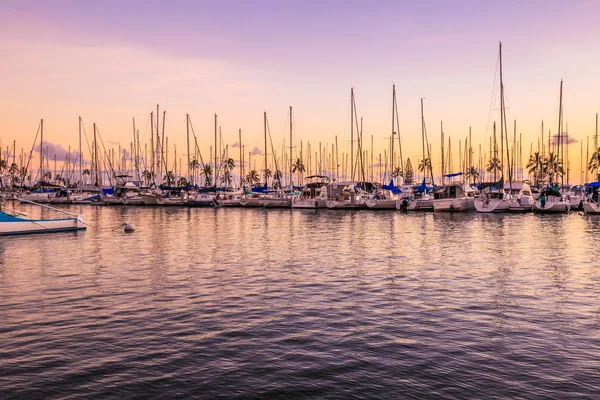 Honolulu Marina Oahu — Stockfoto