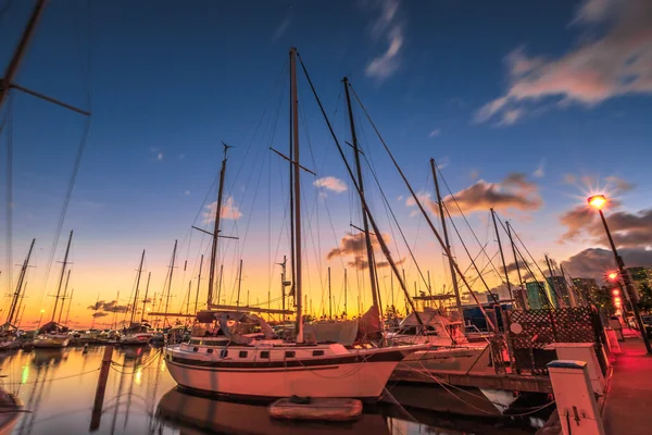 Segelbåtar Honolulu — Stockfoto