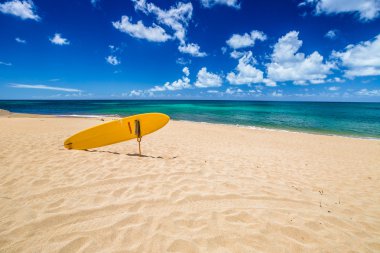 North Shore Surf kurtarma