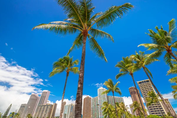Honolulu skyline Fondo — Foto de Stock