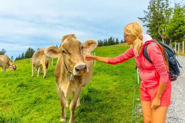 Woman with cow — Stock Photo, Image