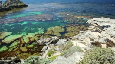 Jeannie 'ler Rottnest Adası' na bakıyor.