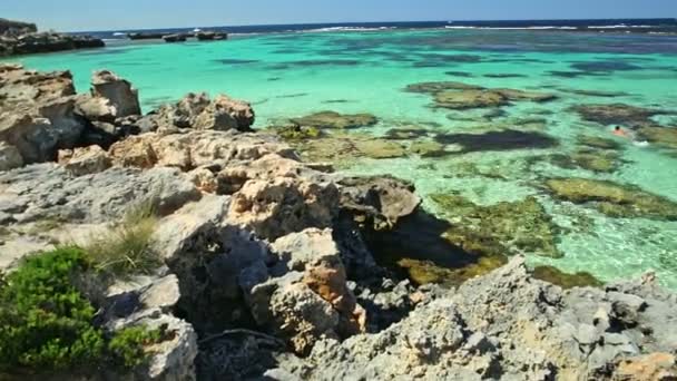 Salmon Bay Rottnest Island — Stock Video